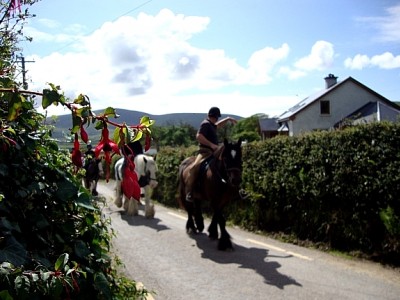 Long's Horse Riding & Trekking Centre
