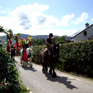 Long's Horse Riding & Trekking Centre