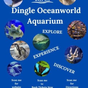 Dingle Oceanworld Aquarium - Mara Beo