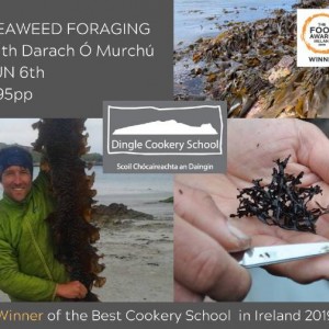 Seaweed Foraging with Dingle Cookery School: June/Meitheamh
